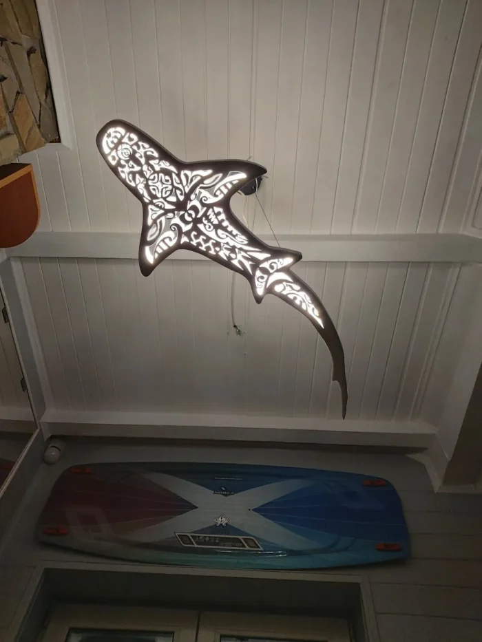 Bull Shark - Image 3