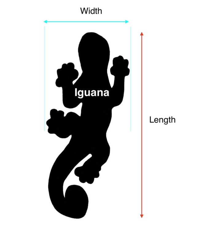 Iguana dimensions