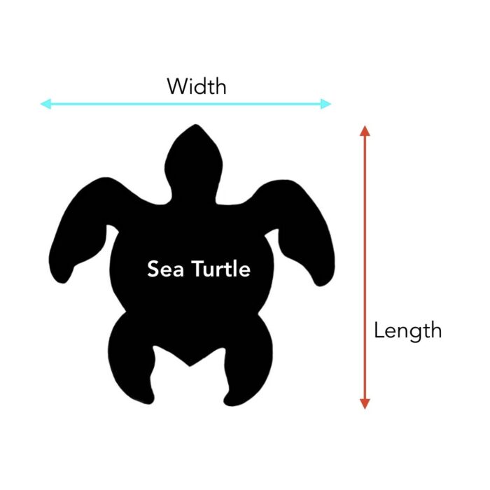 Turtle - Image 2